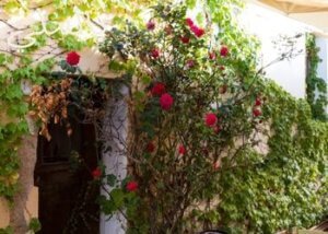 حدائق الفلل .. تصميمات وديكورات مختلفة 4 الخطوات التى يتم مراعاتها عند تنسيق الحديقة الخاصة بك