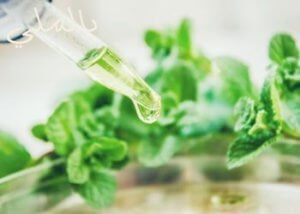 كيفية تنظيف النباتات الطبيعية؟