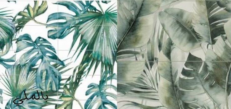 أسعار سيراميكا كليوباترا؛ تعرف على سعر سيراميك كليوباترا لعام 2023 2 سيراميك حوائط كليوبترا