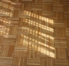 36651237373 71f3a8b155 m