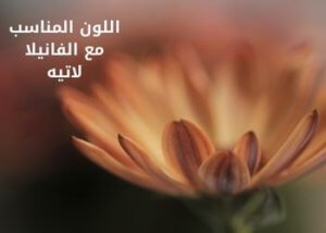 اللون المناسب مع الفانيلا لاتيه