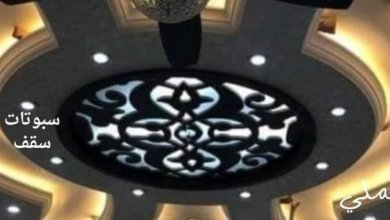 سبوتات سقف